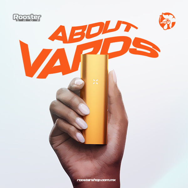 Todo lo que debes saber acerca de los vaporizadores