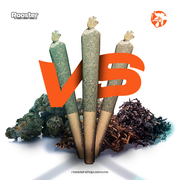 Hemp vs Tabaco