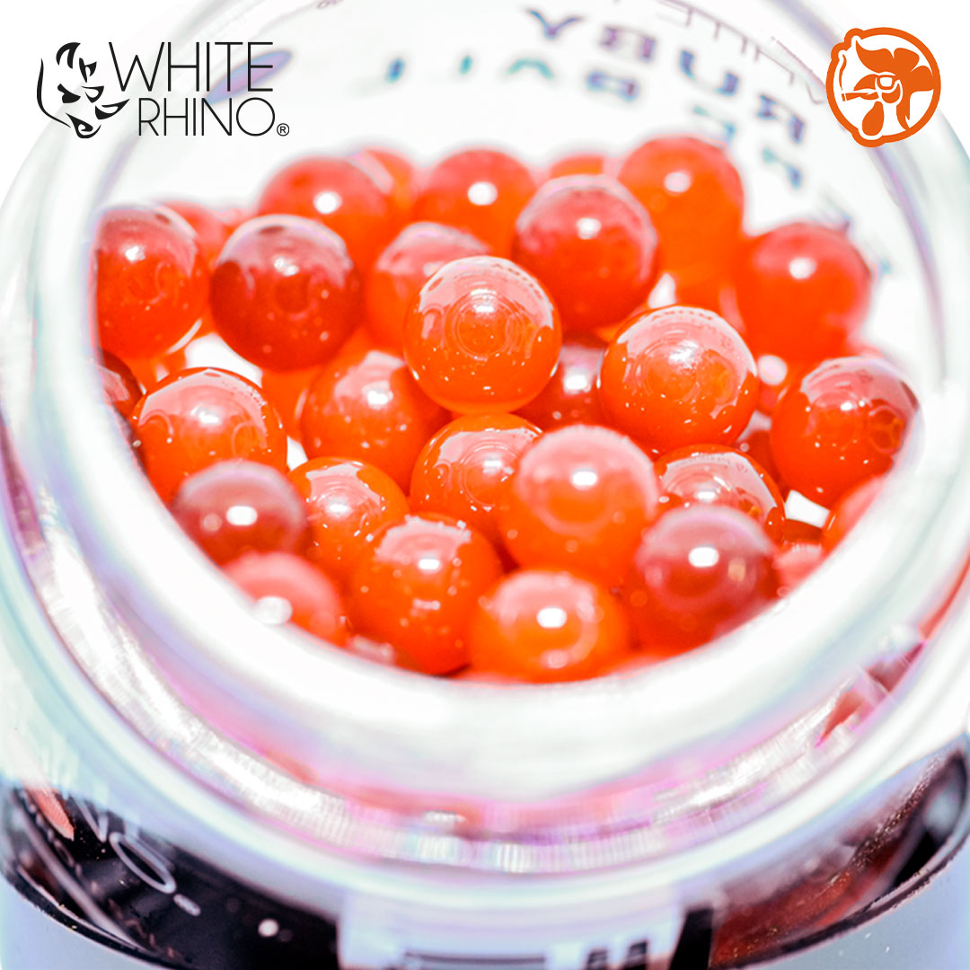 White Rhino Terp Pearls